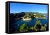 The Bay of Portofino Seen from Castello Brown, Genova (Genoa), Liguria, Italy, Europe-Carlo Morucchio-Framed Stretched Canvas