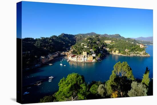 The Bay of Portofino Seen from Castello Brown, Genova (Genoa), Liguria, Italy, Europe-Carlo Morucchio-Stretched Canvas