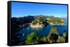 The Bay of Portofino Seen from Castello Brown, Genova (Genoa), Liguria, Italy, Europe-Carlo Morucchio-Framed Stretched Canvas