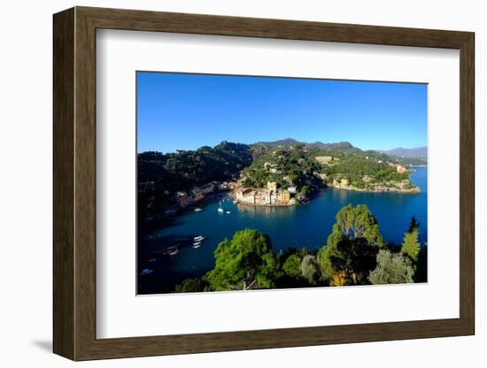The Bay of Portofino Seen from Castello Brown, Genova (Genoa), Liguria, Italy, Europe-Carlo Morucchio-Framed Photographic Print