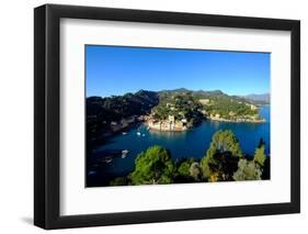 The Bay of Portofino Seen from Castello Brown, Genova (Genoa), Liguria, Italy, Europe-Carlo Morucchio-Framed Photographic Print