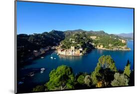 The Bay of Portofino Seen from Castello Brown, Genova (Genoa), Liguria, Italy, Europe-Carlo Morucchio-Mounted Photographic Print