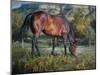 The Bay-Jack Sorenson-Mounted Art Print