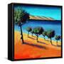 The Bay-Paul Powis-Framed Stretched Canvas