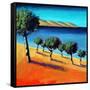 The Bay-Paul Powis-Framed Stretched Canvas