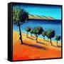 The Bay-Paul Powis-Framed Stretched Canvas