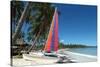 The Beach at Casa Marina Bay, Las Galleras, Samana, Dominican Republic-Natalie Tepper-Stretched Canvas