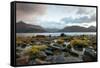 The Beach at Loch Leven in North Ballachulish in Scotland, UK-Tracey Whitefoot-Framed Stretched Canvas