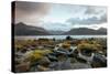 The Beach at Loch Leven in North Ballachulish in Scotland, UK-Tracey Whitefoot-Stretched Canvas