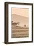 The Beach at Mancora, Peru, South America-Michael DeFreitas-Framed Photographic Print