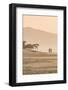 The Beach at Mancora, Peru, South America-Michael DeFreitas-Framed Photographic Print