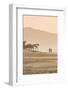 The Beach at Mancora, Peru, South America-Michael DeFreitas-Framed Photographic Print