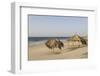 The Beach at Mancora, Peru, South America-Michael DeFreitas-Framed Photographic Print