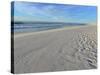 The Beach at Pensacola-Paul Briden-Stretched Canvas