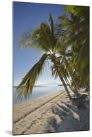 The beach at San Juan on the southwest coast of Siquijor, Philippines, Southeast Asia, Asia-Nigel Hicks-Mounted Photographic Print