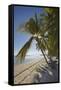 The beach at San Juan on the southwest coast of Siquijor, Philippines, Southeast Asia, Asia-Nigel Hicks-Framed Stretched Canvas