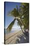 The beach at San Juan on the southwest coast of Siquijor, Philippines, Southeast Asia, Asia-Nigel Hicks-Stretched Canvas