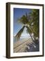 The beach at San Juan on the southwest coast of Siquijor, Philippines, Southeast Asia, Asia-Nigel Hicks-Framed Photographic Print