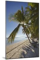 The beach at San Juan on the southwest coast of Siquijor, Philippines, Southeast Asia, Asia-Nigel Hicks-Mounted Photographic Print