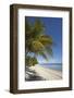 The beach at San Juan on the southwest coast of Siquijor, Philippines, Southeast Asia, Asia-Nigel Hicks-Framed Photographic Print