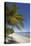 The beach at San Juan on the southwest coast of Siquijor, Philippines, Southeast Asia, Asia-Nigel Hicks-Stretched Canvas