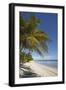 The beach at San Juan on the southwest coast of Siquijor, Philippines, Southeast Asia, Asia-Nigel Hicks-Framed Photographic Print