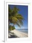 The beach at San Juan on the southwest coast of Siquijor, Philippines, Southeast Asia, Asia-Nigel Hicks-Framed Premium Photographic Print