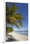 The beach at San Juan on the southwest coast of Siquijor, Philippines, Southeast Asia, Asia-Nigel Hicks-Framed Premium Photographic Print