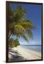 The beach at San Juan on the southwest coast of Siquijor, Philippines, Southeast Asia, Asia-Nigel Hicks-Framed Premium Photographic Print