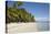 The beach at San Juan on the southwest coast of Siquijor, Philippines, Southeast Asia, Asia-Nigel Hicks-Stretched Canvas