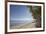 The beach at San Juan on the southwest coast of Siquijor, Philippines, Southeast Asia, Asia-Nigel Hicks-Framed Photographic Print