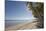 The beach at San Juan on the southwest coast of Siquijor, Philippines, Southeast Asia, Asia-Nigel Hicks-Mounted Photographic Print