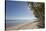 The beach at San Juan on the southwest coast of Siquijor, Philippines, Southeast Asia, Asia-Nigel Hicks-Stretched Canvas