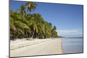 The beach at San Juan on the southwest coast of Siquijor, Philippines, Southeast Asia, Asia-Nigel Hicks-Mounted Photographic Print