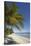 The beach at San Juan on the southwest coast of Siquijor, Philippines, Southeast Asia, Asia-Nigel Hicks-Stretched Canvas