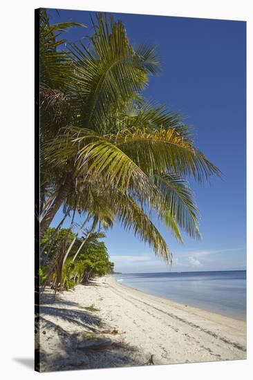 The beach at San Juan on the southwest coast of Siquijor, Philippines, Southeast Asia, Asia-Nigel Hicks-Stretched Canvas