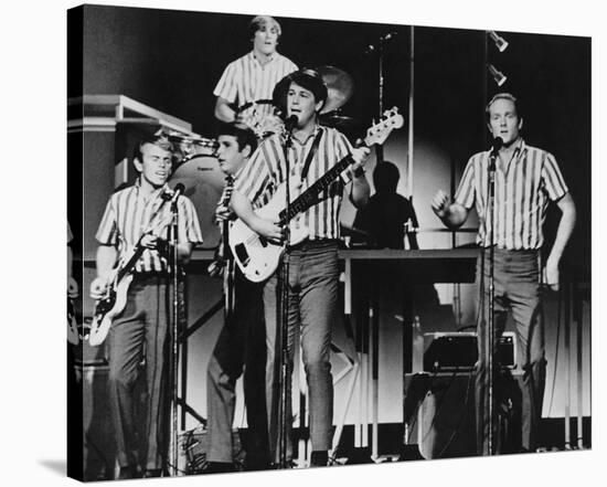 The Beach Boys-null-Stretched Canvas