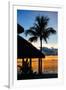 The Beach Hut and Palm Tree at Sunset - Florida - USA-Philippe Hugonnard-Framed Premium Photographic Print