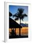 The Beach Hut and Palm Tree at Sunset - Florida - USA-Philippe Hugonnard-Framed Photographic Print