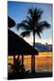 The Beach Hut and Palm Tree at Sunset - Florida - USA-Philippe Hugonnard-Mounted Photographic Print