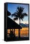 The Beach Hut and Palm Tree at Sunset - Florida - USA-Philippe Hugonnard-Framed Stretched Canvas