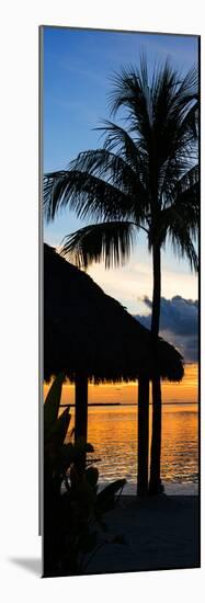 The Beach Hut and Palm Tree at Sunset - Florida - USA-Philippe Hugonnard-Mounted Photographic Print