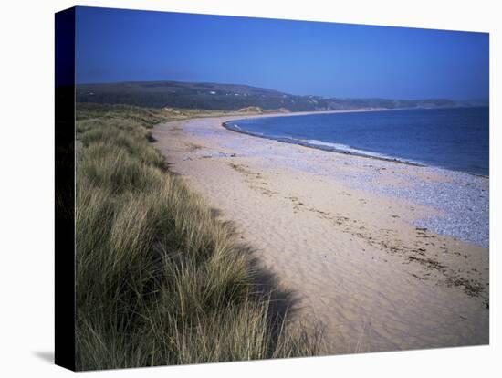 The Beach, Oxwich Bay, Gower, Swansea, Wales, United Kingdom-David Hunter-Stretched Canvas