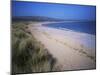 The Beach, Oxwich Bay, Gower, Swansea, Wales, United Kingdom-David Hunter-Mounted Photographic Print