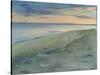The Beach, Skagen, 1902-Peder Severin Kröyer-Stretched Canvas
