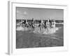 The Beachcomber Girls Who Work Night Clubs are Hanging Out at Beach in the Daytime-Allan Grant-Framed Photographic Print