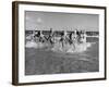 The Beachcomber Girls Who Work Night Clubs are Hanging Out at Beach in the Daytime-Allan Grant-Framed Photographic Print