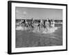 The Beachcomber Girls Who Work Night Clubs are Hanging Out at Beach in the Daytime-Allan Grant-Framed Photographic Print