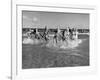 The Beachcomber Girls Who Work Night Clubs are Hanging Out at Beach in the Daytime-Allan Grant-Framed Photographic Print