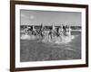 The Beachcomber Girls Who Work Night Clubs are Hanging Out at Beach in the Daytime-Allan Grant-Framed Photographic Print